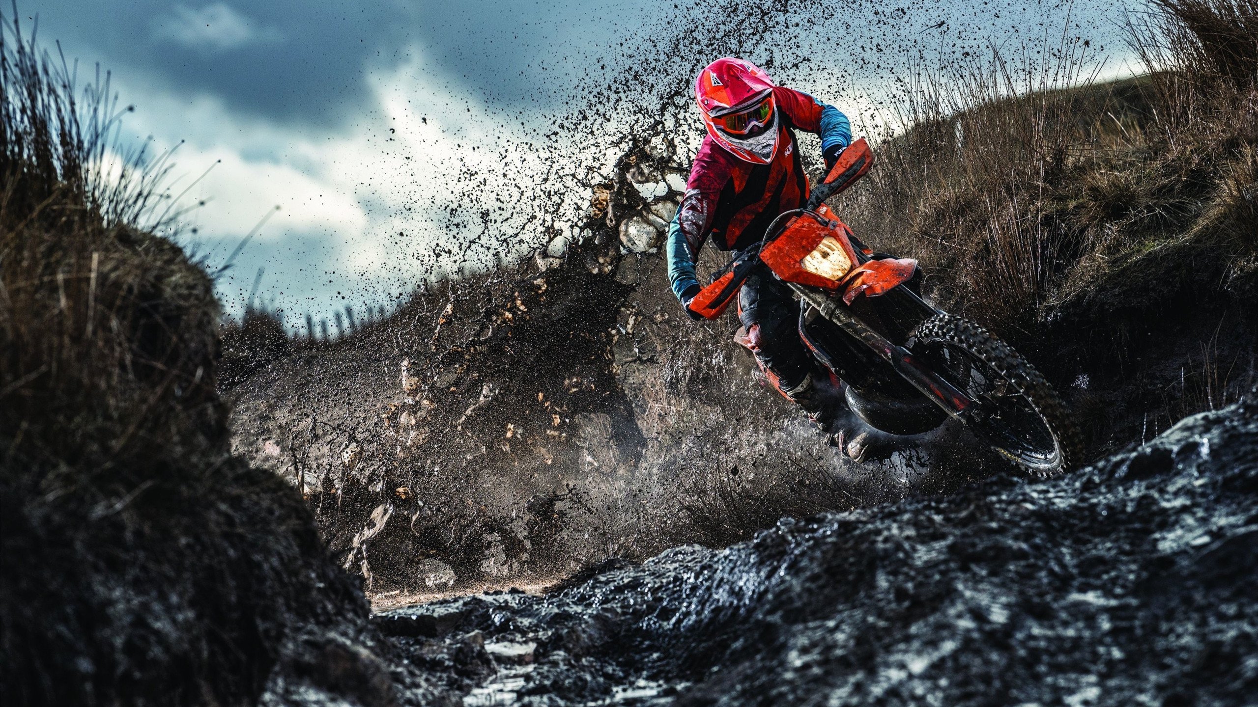 字母哥生涯之夜撕裂国王，当希腊怪兽成为行走的史诗