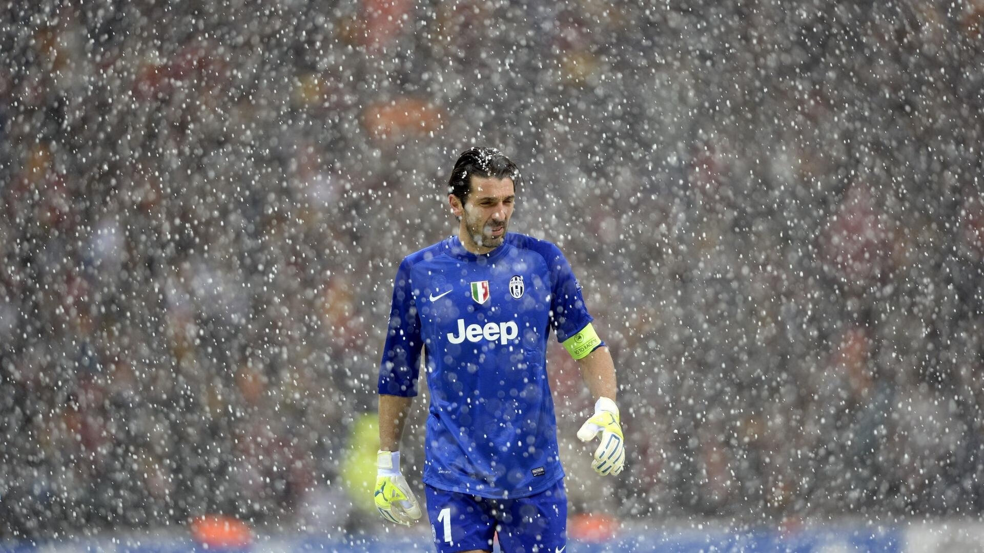 约基奇教科书式统治，当智慧成为最锋利的角，刺穿了紫金王朝最后的骄傲